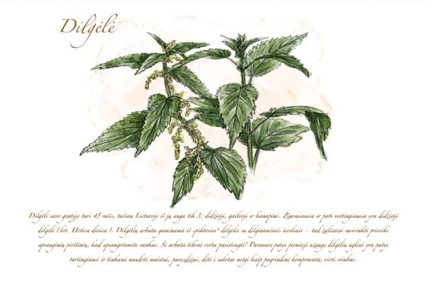 Atvirukas "Dilgėlė" - Image 2