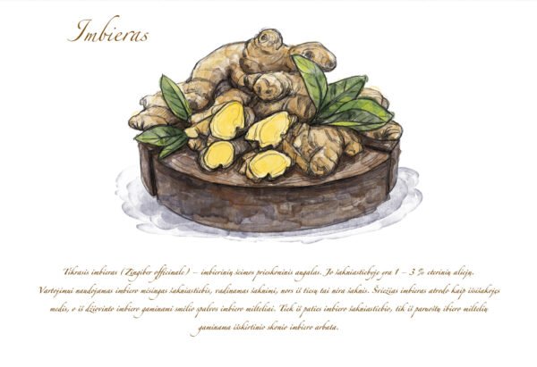 Atvirukas "Imbieras" - Image 2