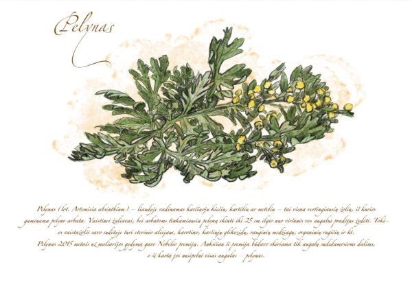 Atvirukas "Pelynas" - Image 2