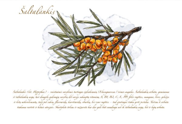 Atvirukas "Šaltalankis" - Image 2