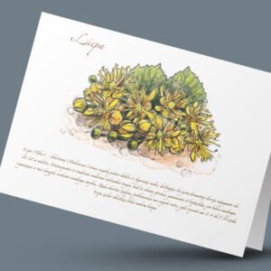 Atvirukas "Liepa"