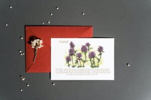 Atvirukas "Čiobrelis"