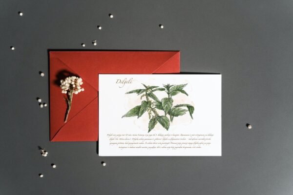 Atvirukas "Dilgėlė" - Image 3