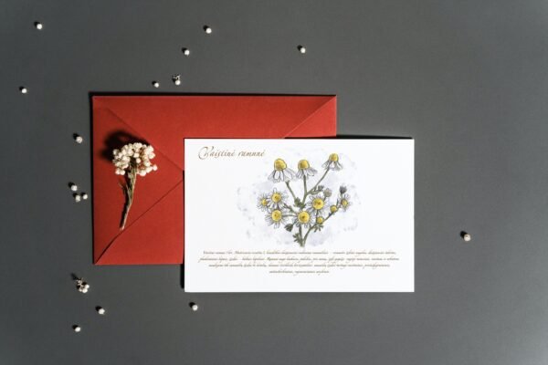 Atvirukas "Vaistinė ramunė" - Image 4