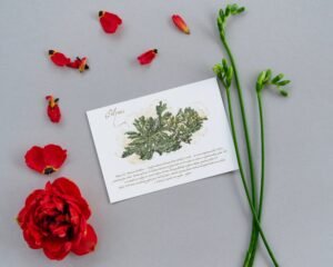 Atvirukas "Pelynas"